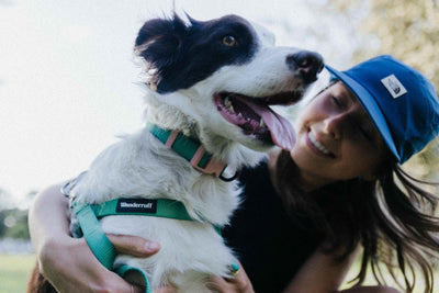 7 Easy Ways to Live More Sustainably With Your Dog