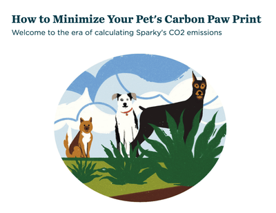 Sierra Club: How to Minimize Your Pet's Carbon Paw Print