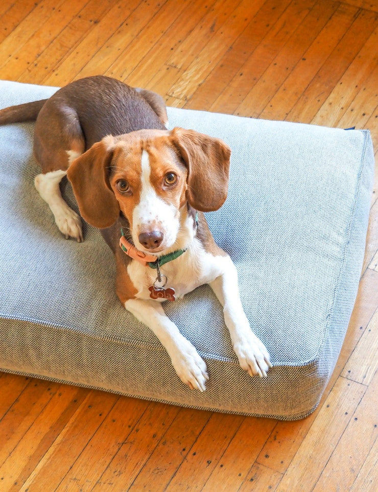 beagle laying down on grey dog bed made from recycled materials