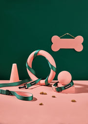 Lola Collar - Wanderruff